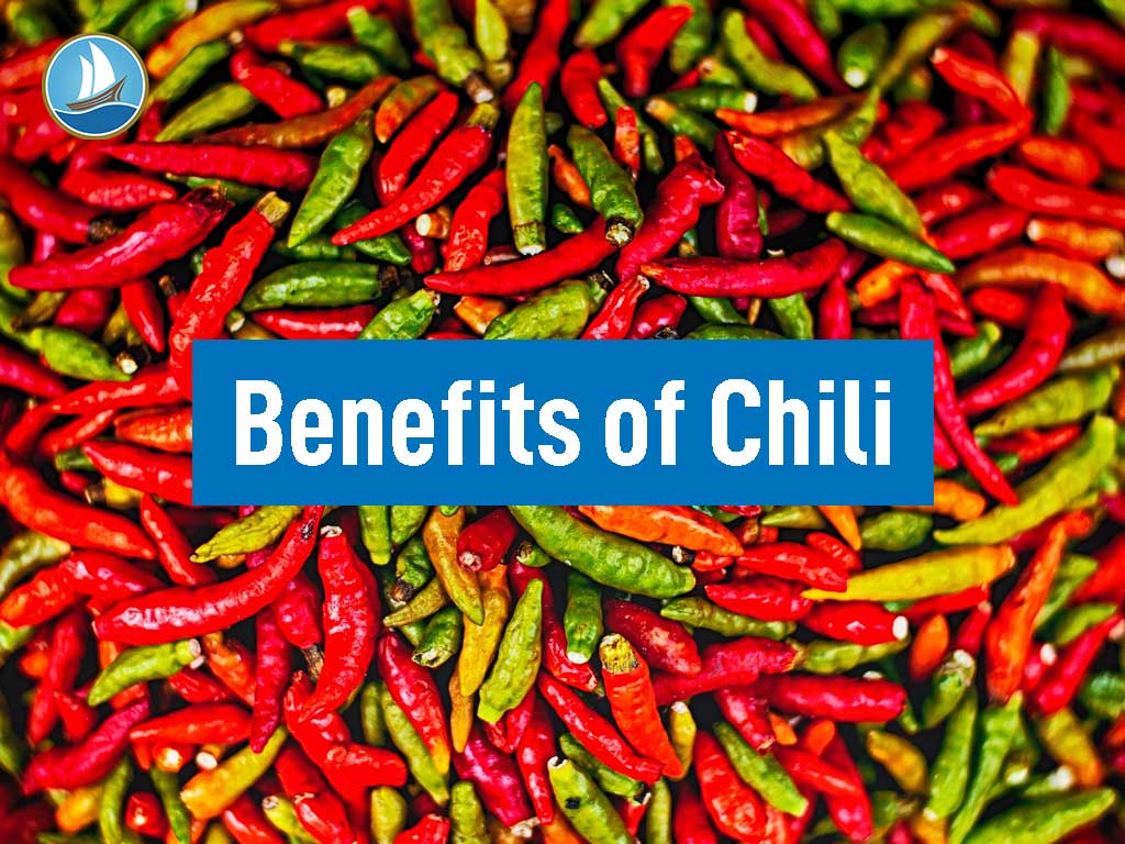 Benefits of Chili for Healthy Body 