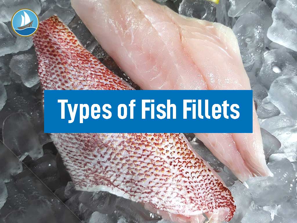 Types of Fish Fillets in Fish Products 